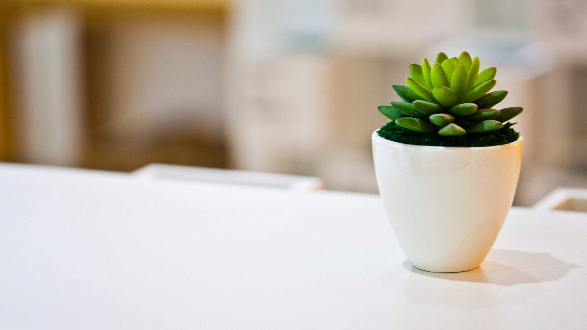 JianZhanPress WaiMao