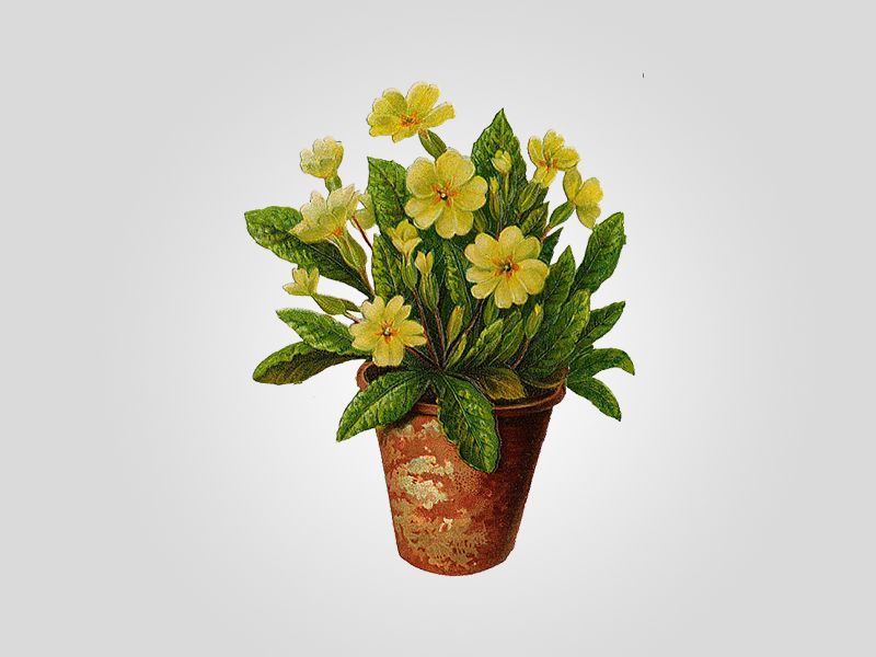 Product One Title Eleven