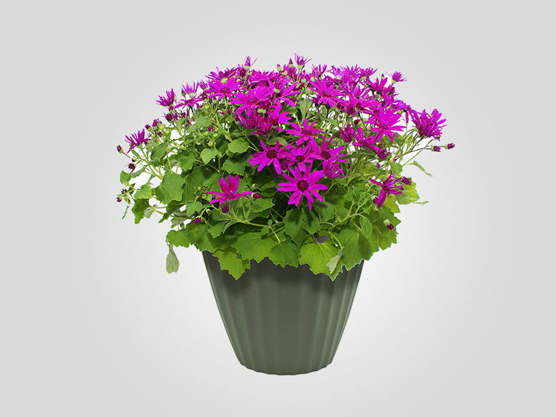 Product One Title Ten