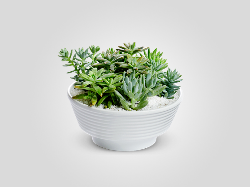 Product One Title Nine