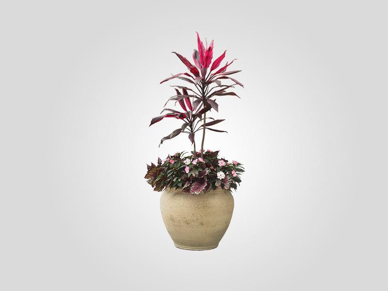 Product One Title Eight